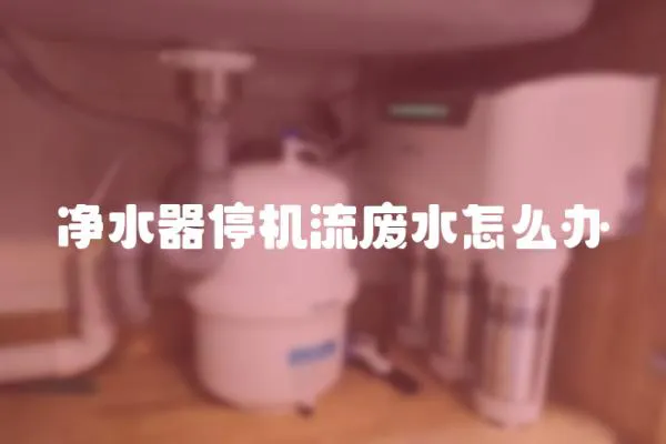 凈水器停機流廢水怎么辦