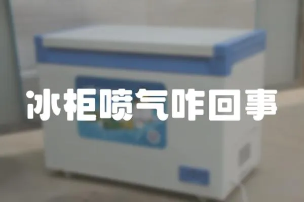 冰柜噴氣咋回事