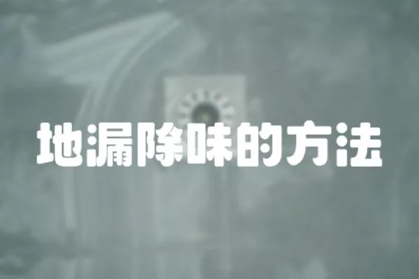 地漏除味的方法