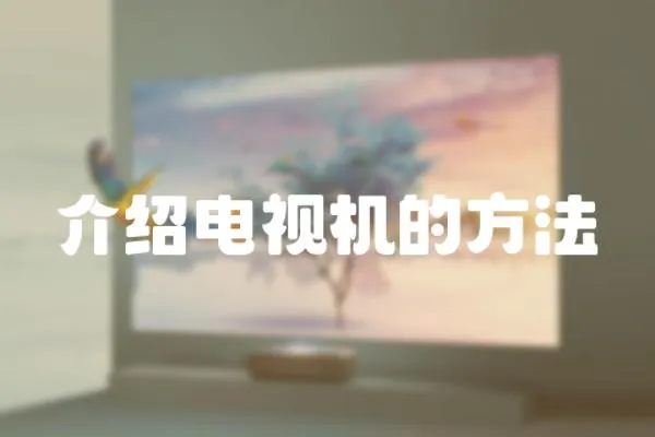 介紹電視機的方法