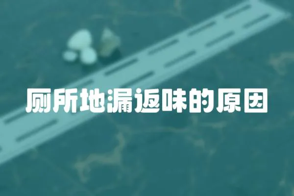 廁所地漏返味的原因