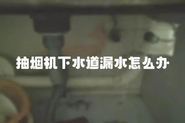 抽煙機下水道漏水怎么辦