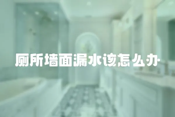 廁所墻面漏水該怎么辦