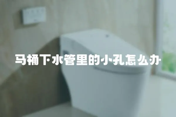 馬桶下水管里的小孔怎么辦
