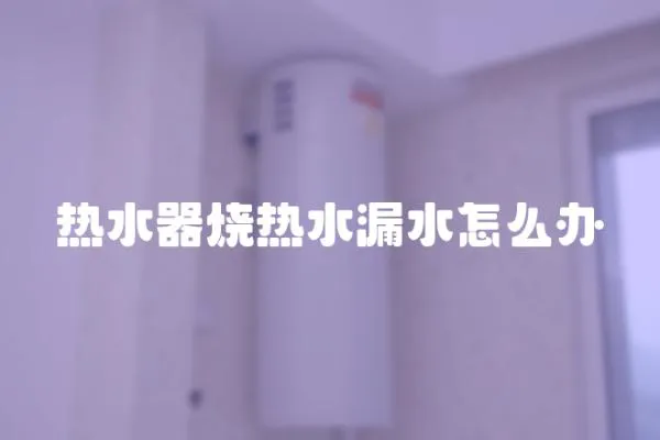 熱水器燒熱水漏水怎么辦