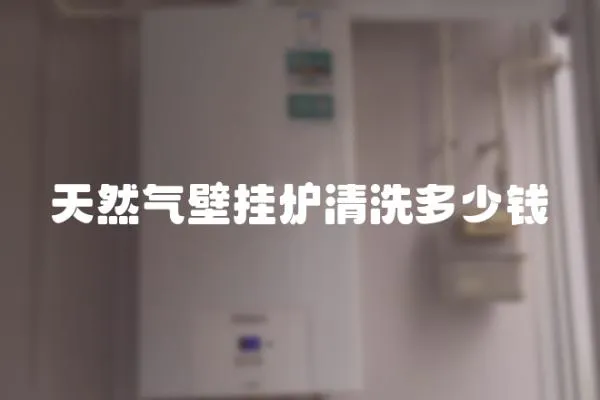 天然氣壁掛爐清洗多少錢