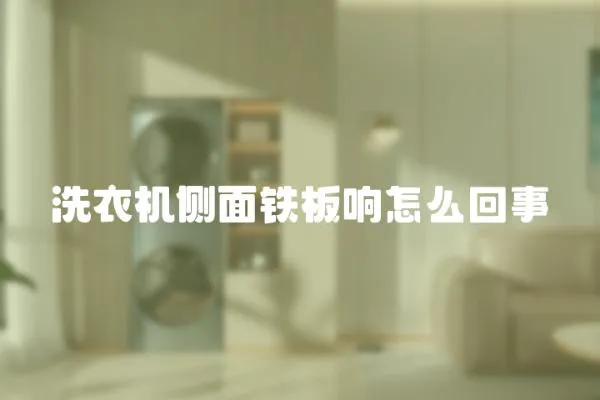 洗衣機(jī)側(cè)面鐵板響怎么回事