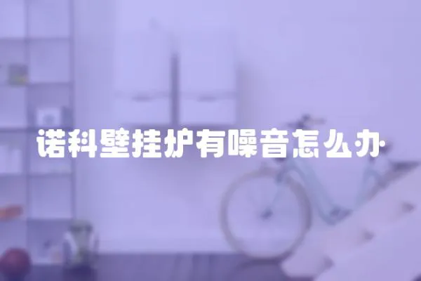 諾科壁掛爐有噪音怎么辦