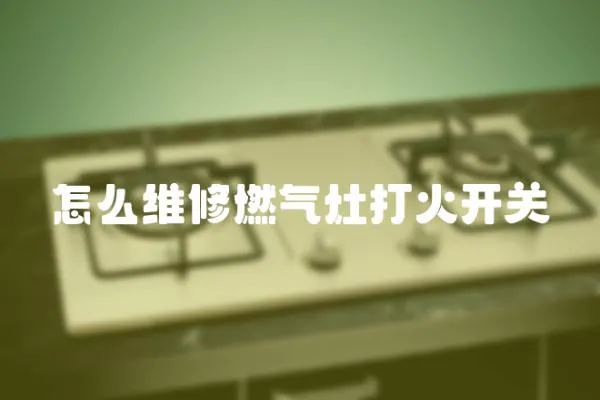 怎么維修燃?xì)庠畲蚧痖_關(guān)