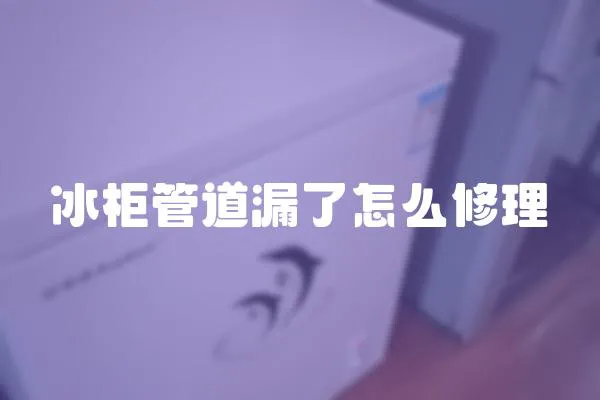 冰柜管道漏了怎么修理