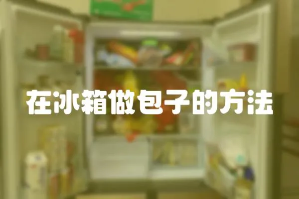 在冰箱做包子的方法