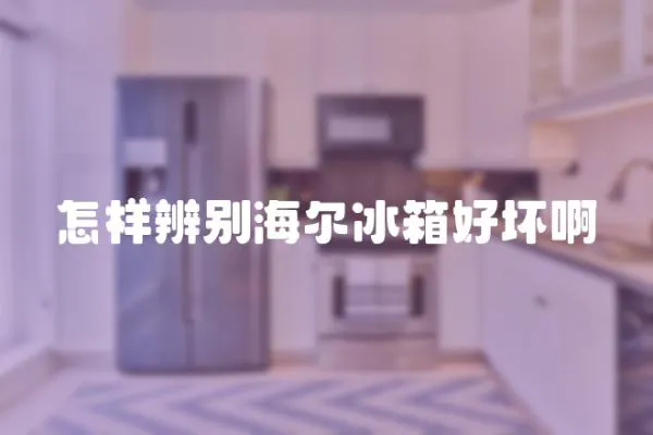 怎樣辨別海爾冰箱好壞啊