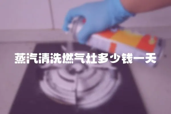 蒸汽清洗燃氣灶多少錢一天