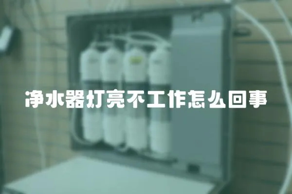 凈水器燈亮不工作怎么回事