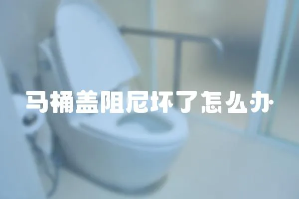 馬桶蓋阻尼壞了怎么辦