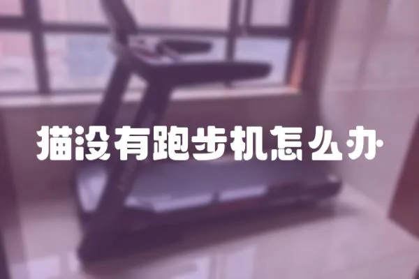 貓沒有跑步機怎么辦