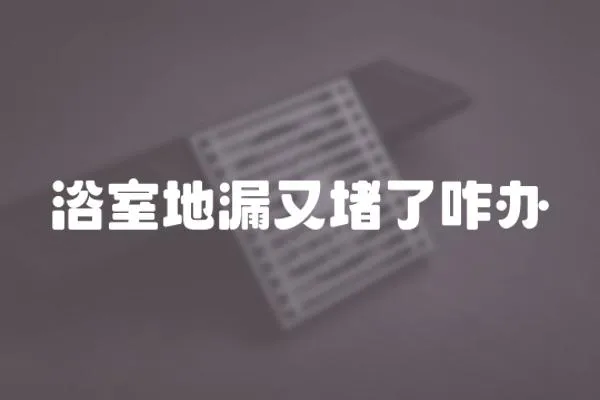 浴室地漏又堵了咋辦