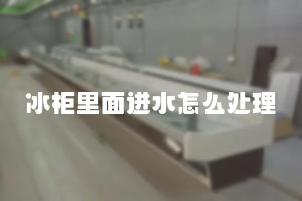 冰柜里面進(jìn)水怎么處理