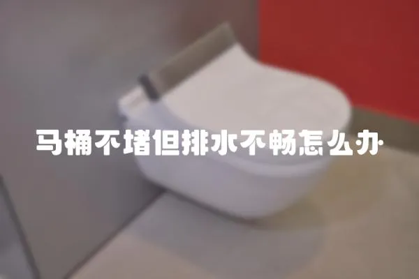 馬桶不堵但排水不暢怎么辦