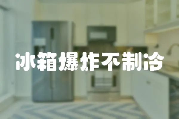 冰箱爆炸不制冷