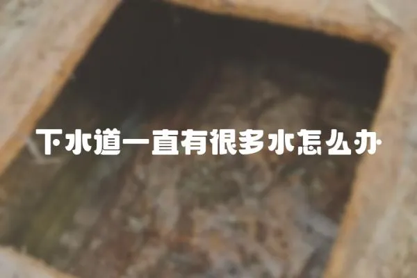 下水道一直有很多水怎么辦