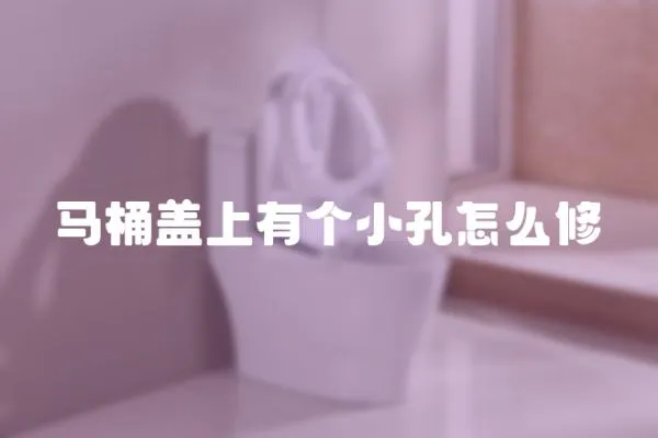 馬桶蓋上有個小孔怎么修