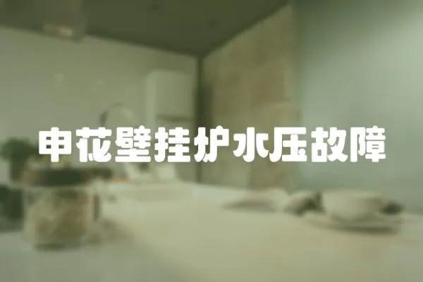 申花壁掛爐水壓故障