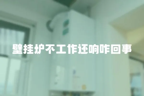 壁掛爐不工作還響咋回事