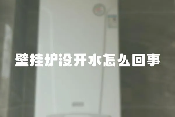 壁掛爐沒開水怎么回事