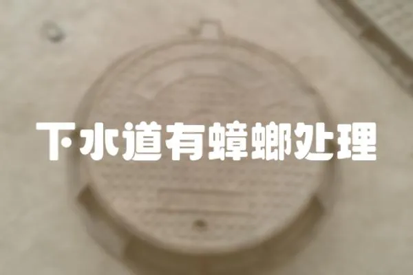 下水道有蟑螂處理