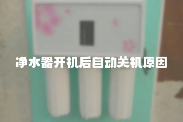 凈水器開機后自動關機原因