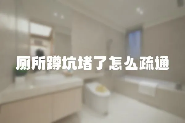 廁所蹲坑堵了怎么疏通