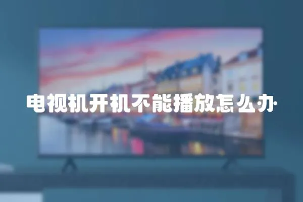 電視機開機不能播放怎么辦