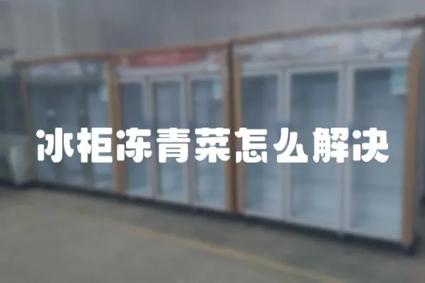 冰柜凍青菜怎么解決