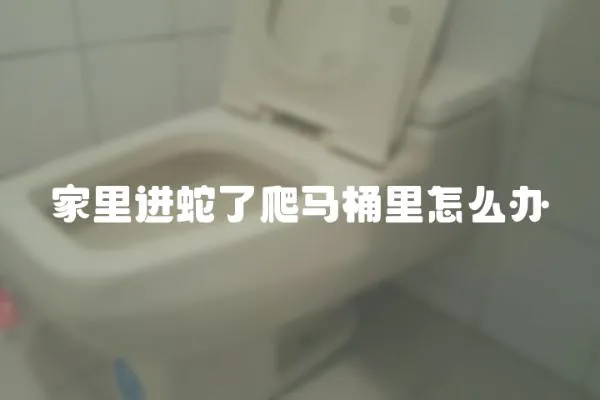 家里進蛇了爬馬桶里怎么辦