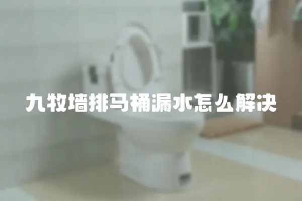 九牧墻排馬桶漏水怎么解決