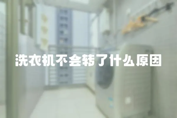 洗衣機不會轉了什么原因