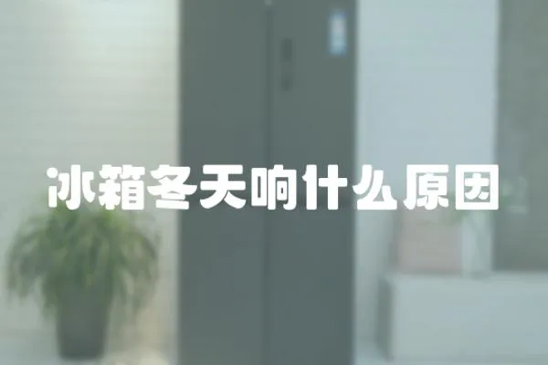 冰箱冬天響什么原因