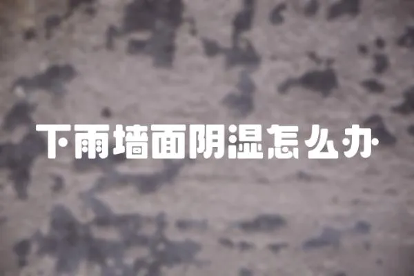 下雨墻面陰濕怎么辦