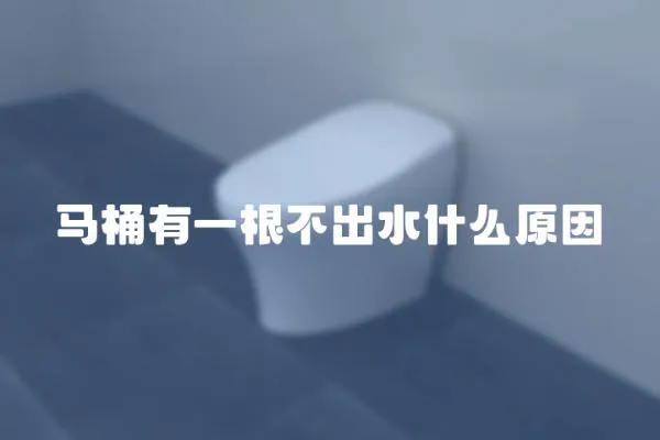 馬桶有一根不出水什么原因