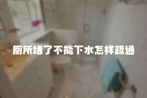 廁所堵了不能下水怎樣疏通