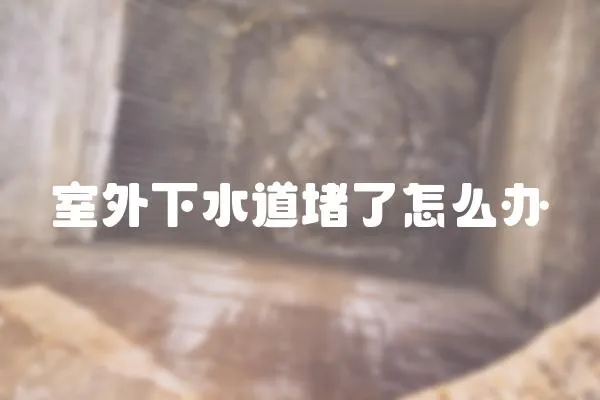 室外下水道堵了怎么辦