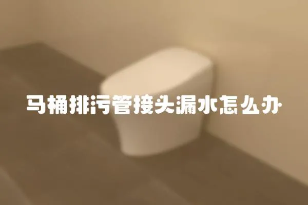 馬桶排污管接頭漏水怎么辦