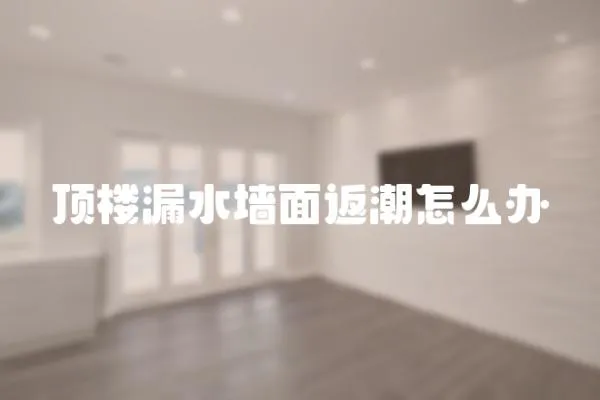 頂樓漏水墻面返潮怎么辦