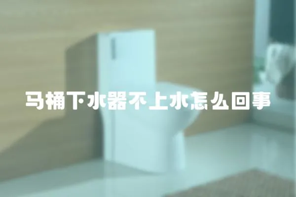 馬桶下水器不上水怎么回事