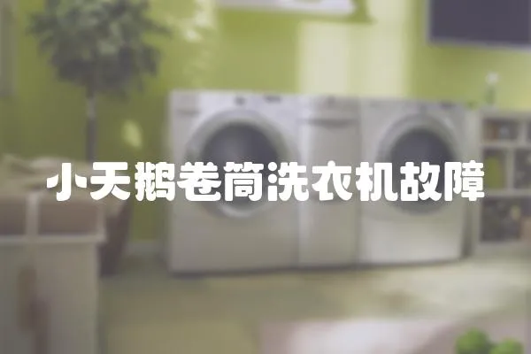 小天鵝卷筒洗衣機故障