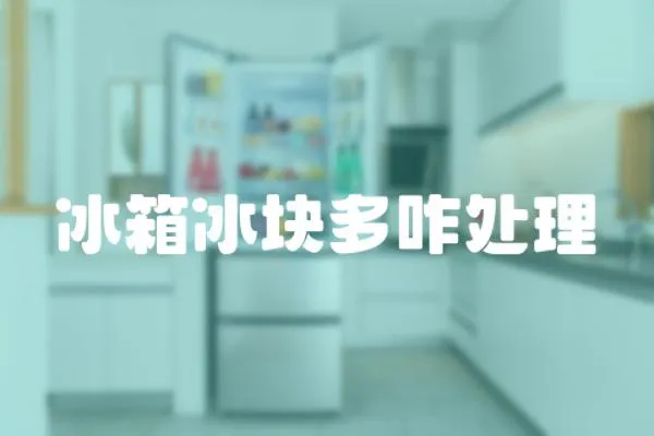 冰箱冰塊多咋處理