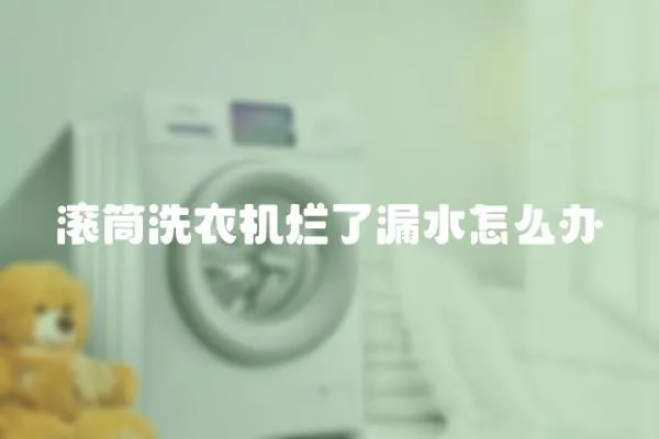 滾筒洗衣機爛了漏水怎么辦