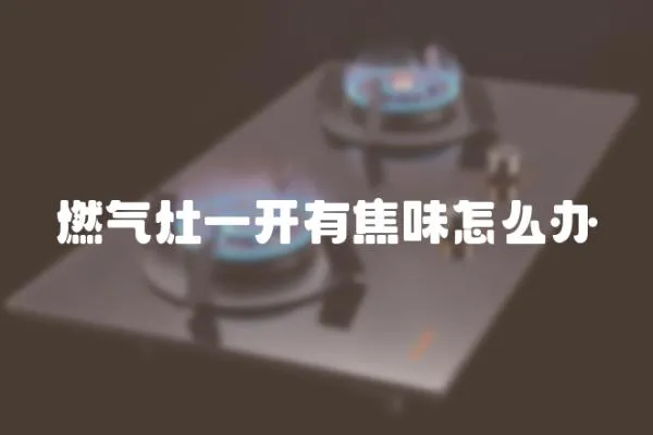 燃氣灶一開有焦味怎么辦