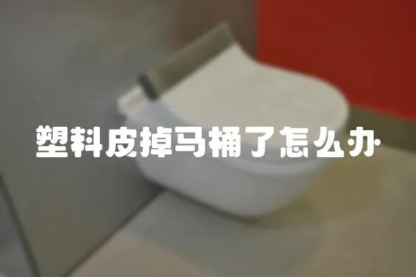 塑料皮掉馬桶了怎么辦